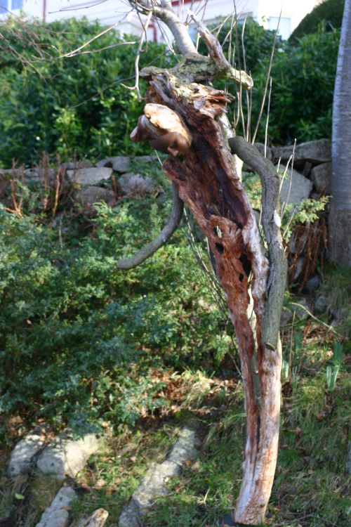 Skulptures in Garden