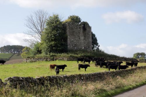 view Lags tower house