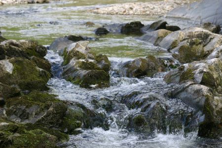 River just outside Langholm