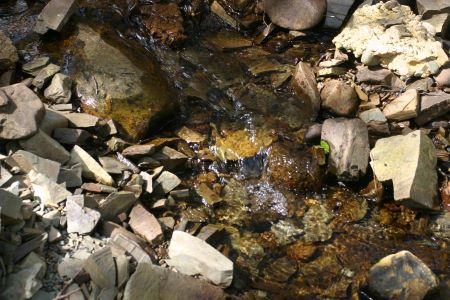 River just outside Langholm