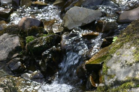 River just outside Langholm