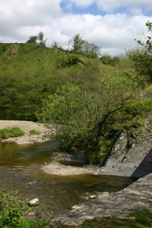 River just outside Langholm
