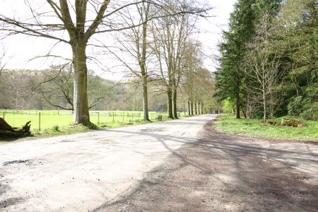 Avenue at Armstrong Museum