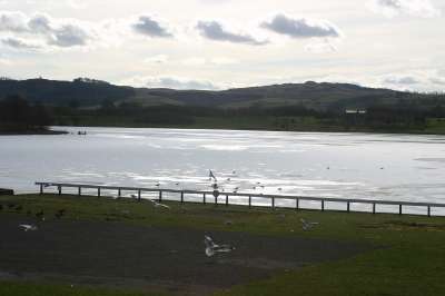 Mill Loch lochmaben