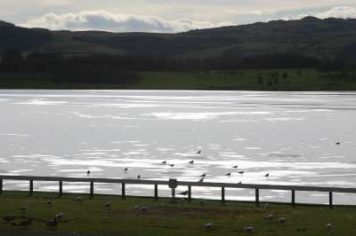 Mill Loch lochmaben