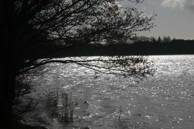 Mill Loch lochmaben