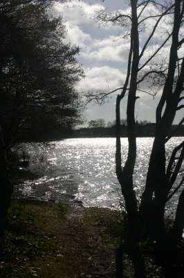 Mill Loch lochmaben
