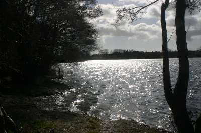 Mill Loch lochmaben