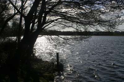 Mill Loch lochmaben
