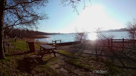 Castle Loch from picnic area