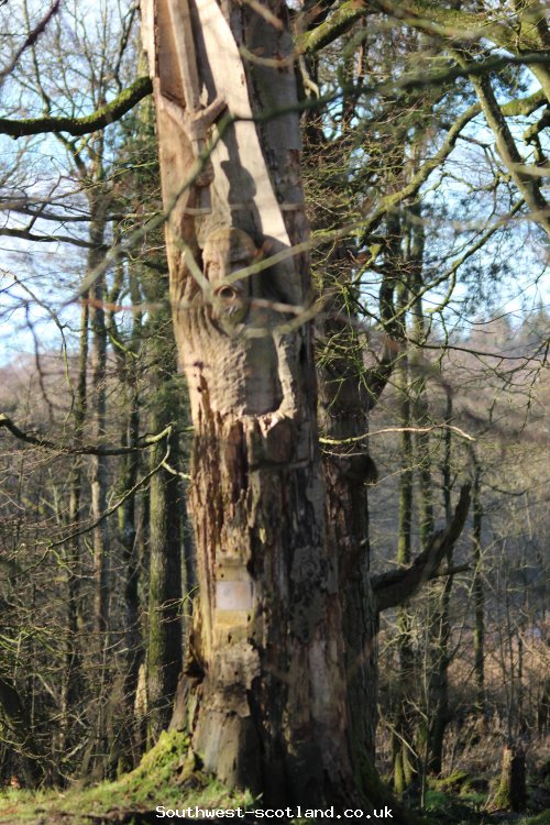 Wood carving at Lochmaben castle
