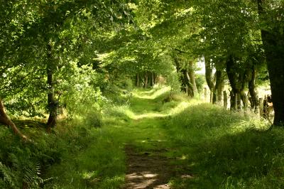 air disaster memorial garden