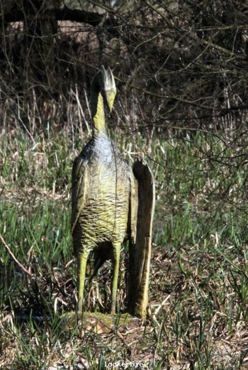 Carving at Eskrigg resrve