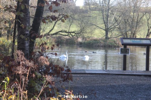 Pond in eskridge reserve