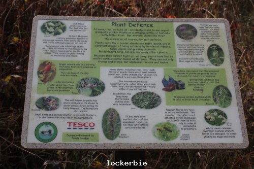 Information board eskridg reserve