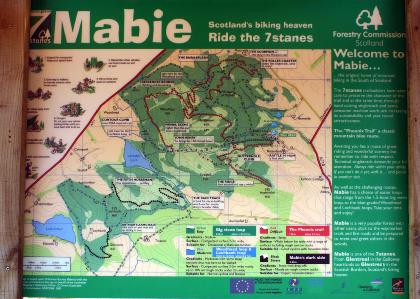 mabie_forest 