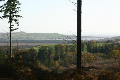 View from Mabie