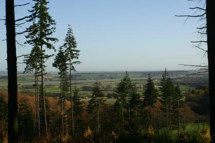 View from Mabie