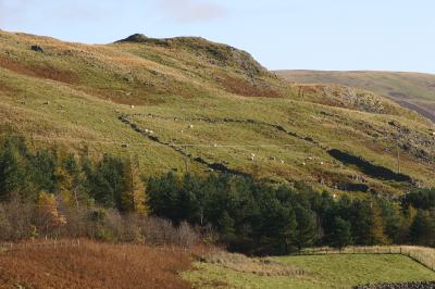 view fromMegget  Reservoir