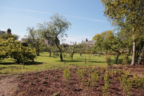 Priorwood Garden 