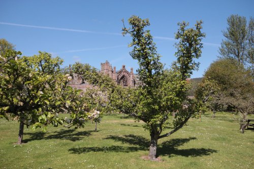 Broughton Hose garden