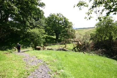 morton_castle remains