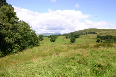 morton_castle remains