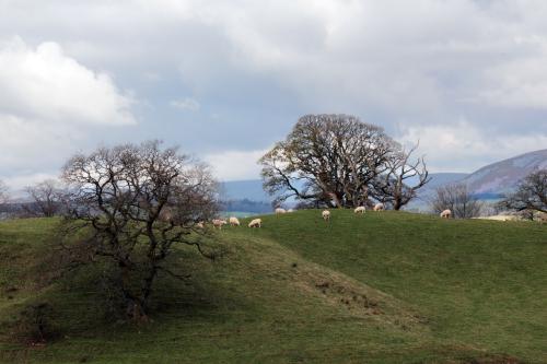 morton_castle remains