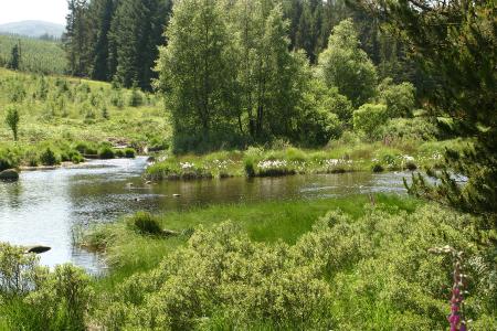The River Dee along the Raiders Trail