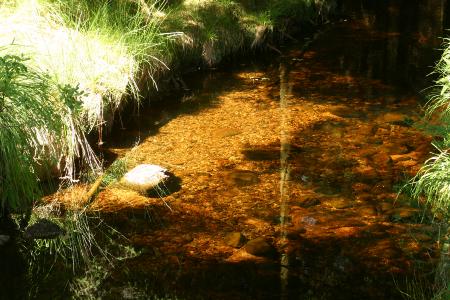 The River Dee along the Raiders Trail