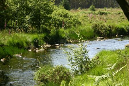 The River Dee along the Raiders Trail