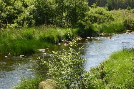 The River Dee along the Raiders Trail