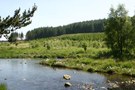 The River Dee along the Raiders Trail