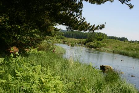 The River Dee along the Raiders Trail