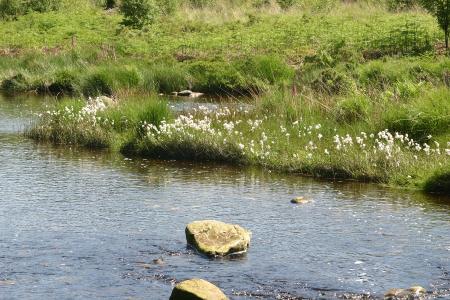 The River Dee along the Raiders Trail