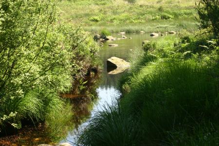 The River Dee along the Raiders Trail