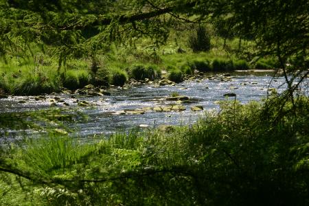 The River Dee along the Raiders Trail