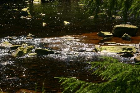 The River Dee along the Raiders Trail