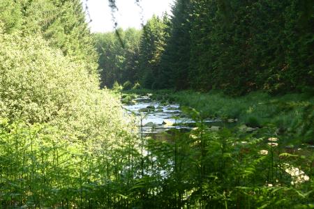 The River Dee along the Raiders Trail