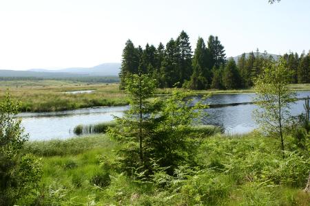 The River Dee along the Raiders Trail
