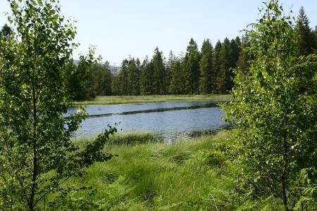 The River Dee along the Raiders Trail