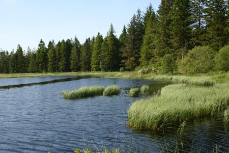 The River Dee along the Raiders Trail