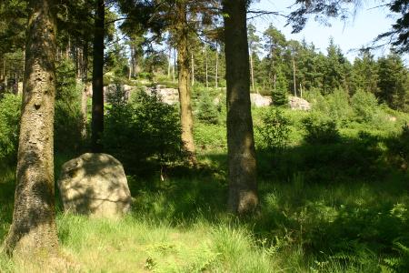 The River Dee along the Raiders Trail