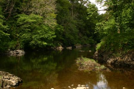 River Nith near Thornhill