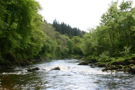 River Nith near Thornhill