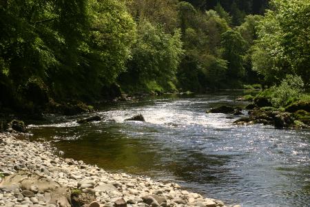 River Nith near Thornhill