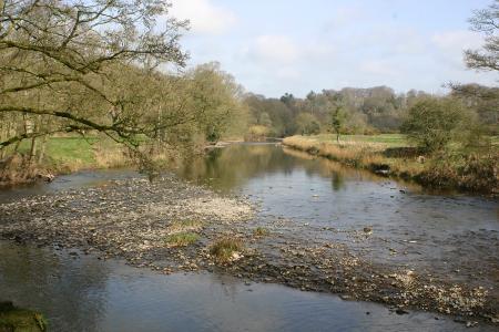 Annan water @ Brydkirk