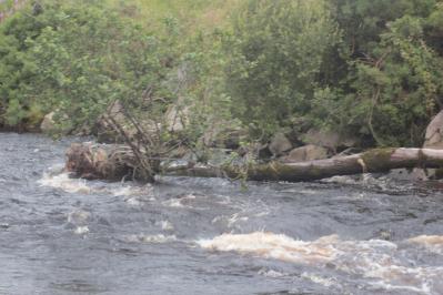 Water of Ae, Dalfibble