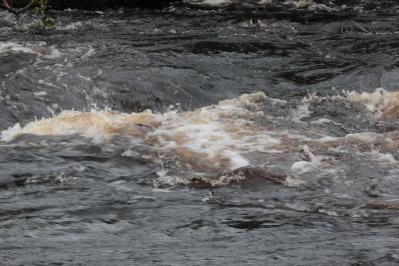 Water of Ae, Dalfibble