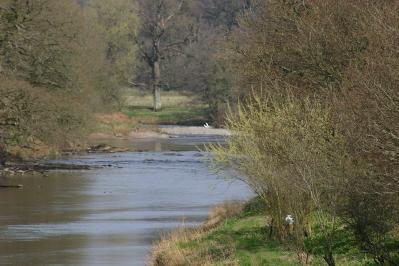 information Board @ Annan Water